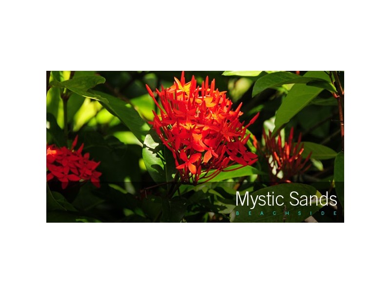 Lot 35,  Beach Court, Balgal Beach QLD 4816