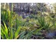 7 Tareebin Road, Nelson Bay NSW 2315