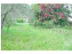 33 King Albert Street, Tanilba Bay NSW 2319