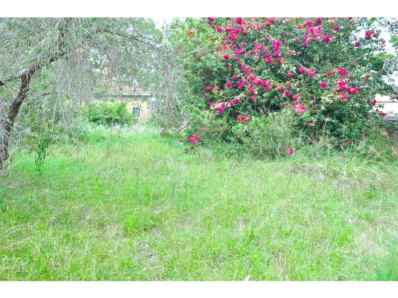 33 King Albert Street, Tanilba Bay NSW 2319
