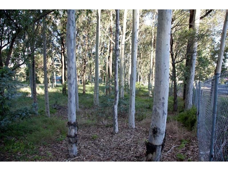 204/214 Pacific Highway, Watanobbi NSW 2259