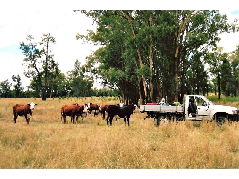 Lot 24,  Nandawar Tin Hut Rd, Coolmunda QLD 4387