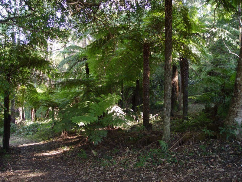 Springbrook QLD 4213