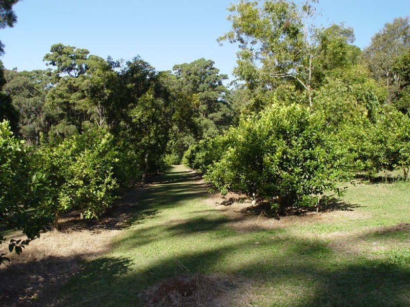 Springbrook QLD 4213