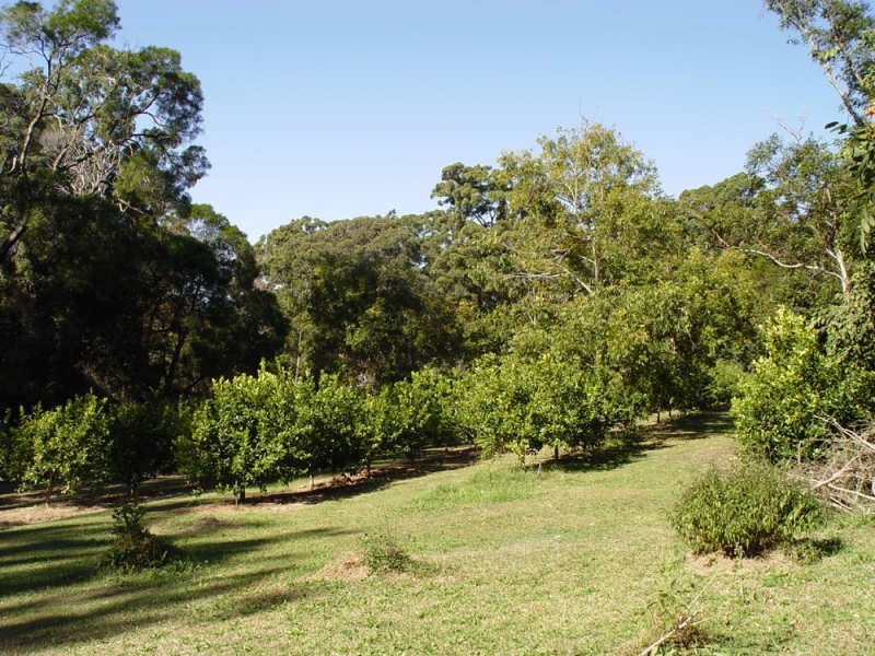 Springbrook QLD 4213