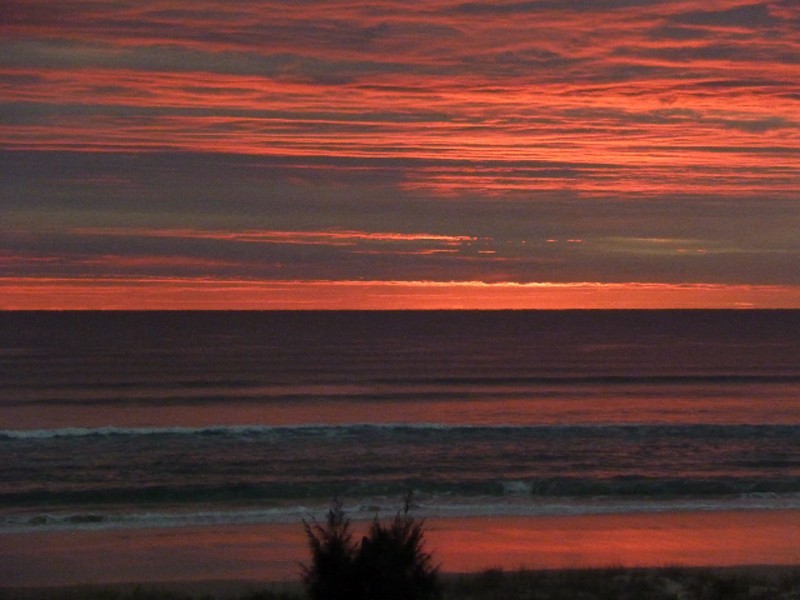 289A Golden Four Drive, Bilinga QLD 4225