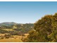 24 Vail Court, Bilambil Heights NSW 2486