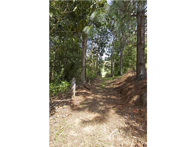 61 Green Valley Way, Piggabeen NSW 2486