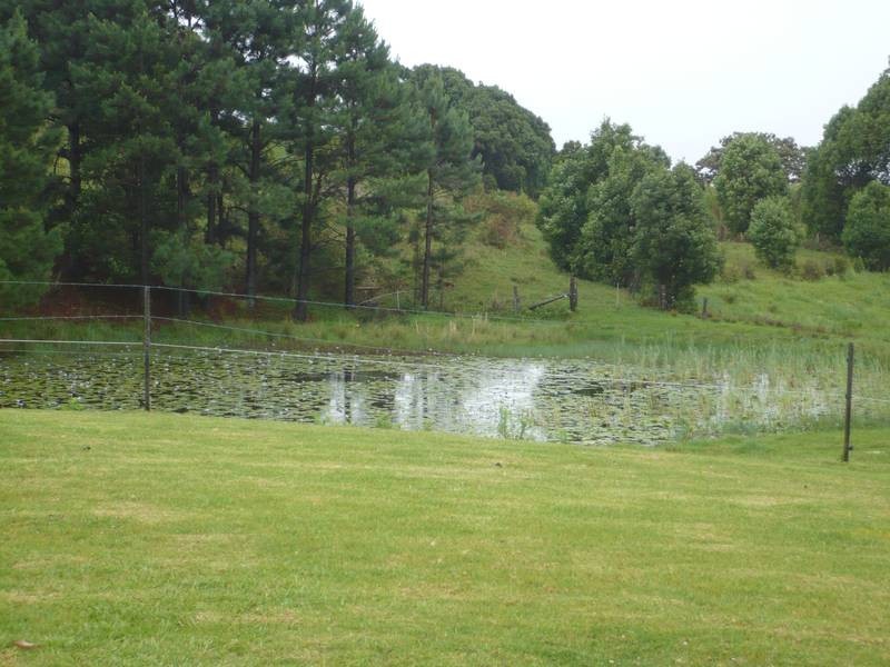 89 McDonalds Road, Carool NSW 2486