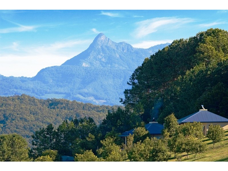 Carool Road, Carool NSW 2486