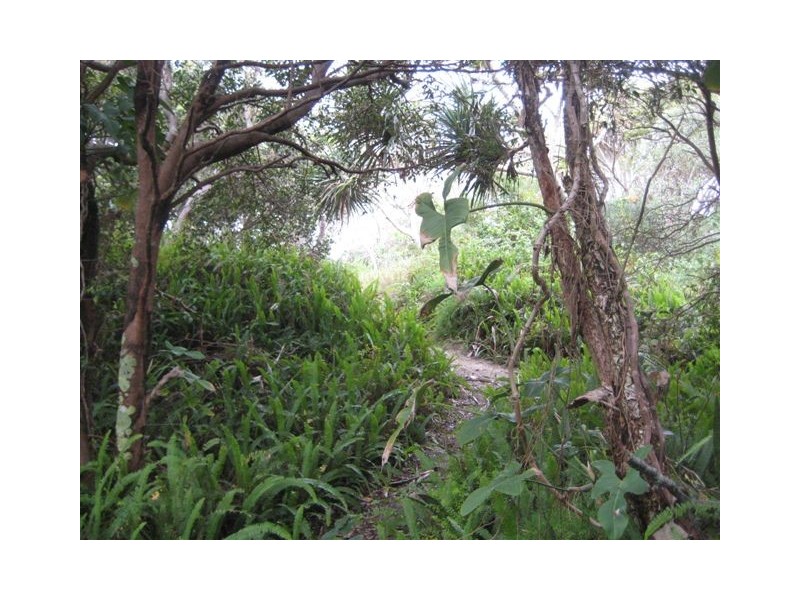 2/19 Murphys Road, Kingscliff NSW 2487