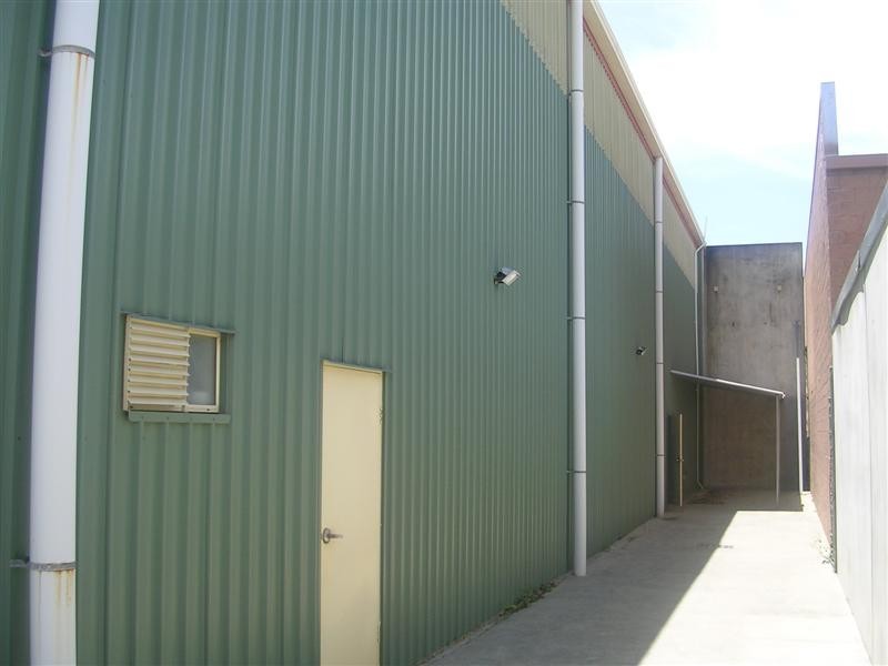 17 Wheeler Crescent, Currumbin QLD 4223