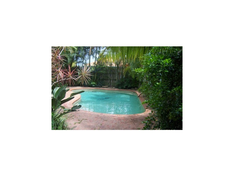 53 Chippendale Crescent, Currumbin Waters QLD 4223