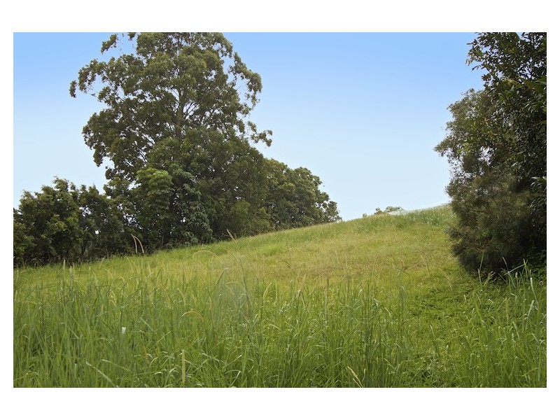 6 Dinjirra Court, Tugun QLD 4224