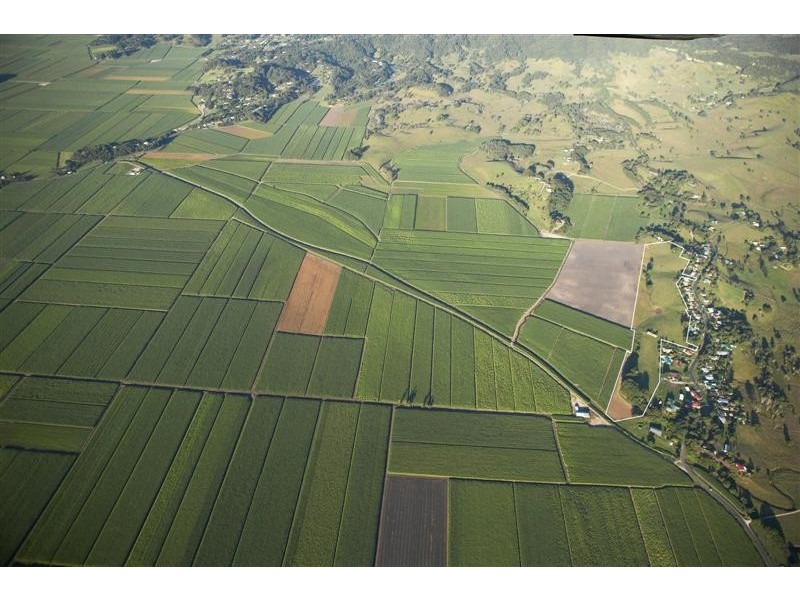 429 Reserve Creek Road, Kielvale, Murwillumbah NSW 2484