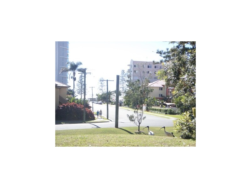 3/27 Coolangatta Road, Kirra QLD 4225
