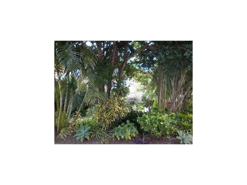 10/123 Golden Four Drive, Bilinga QLD 4225