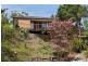 46 Piggabeen Road, Tweed Heads West NSW 2485
