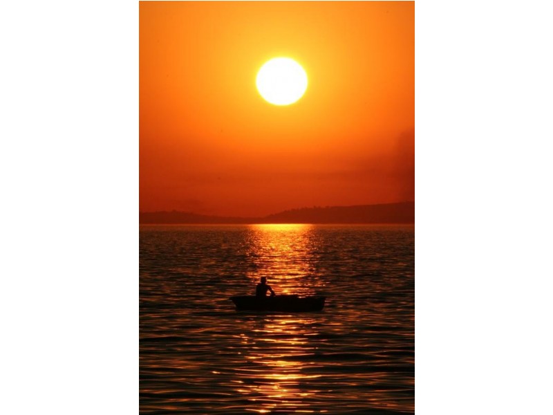 Lot 1 & 2, 7 Bimbadeen Avenue, Banora Point NSW 2486