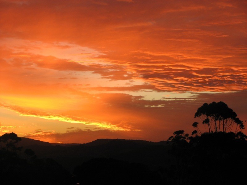 19 Rayles Lane, Terranora NSW 2486