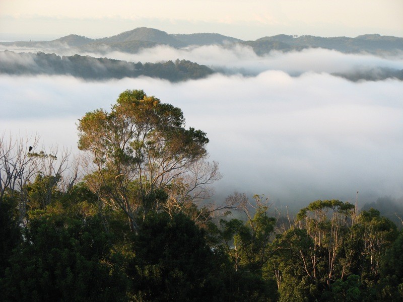 19 Rayles Lane, Terranora NSW 2486