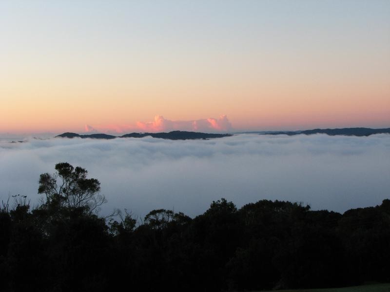 19 Rayles Lane, Terranora NSW 2486