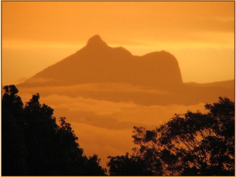 19 Rayles Lane, Terranora NSW 2486