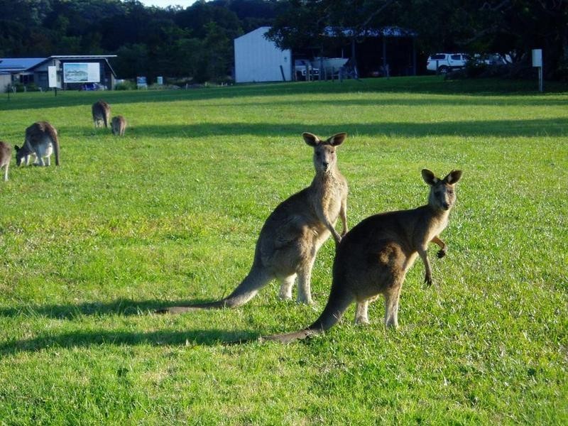 1 Natures Close, Currumbin Valley QLD 4223
