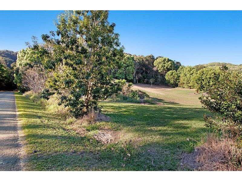 677 Hogans Road, Tumbulgum NSW 2490