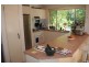16 Armina Ct, Tugun QLD 4224