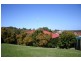 16 Armina Ct, Tugun QLD 4224