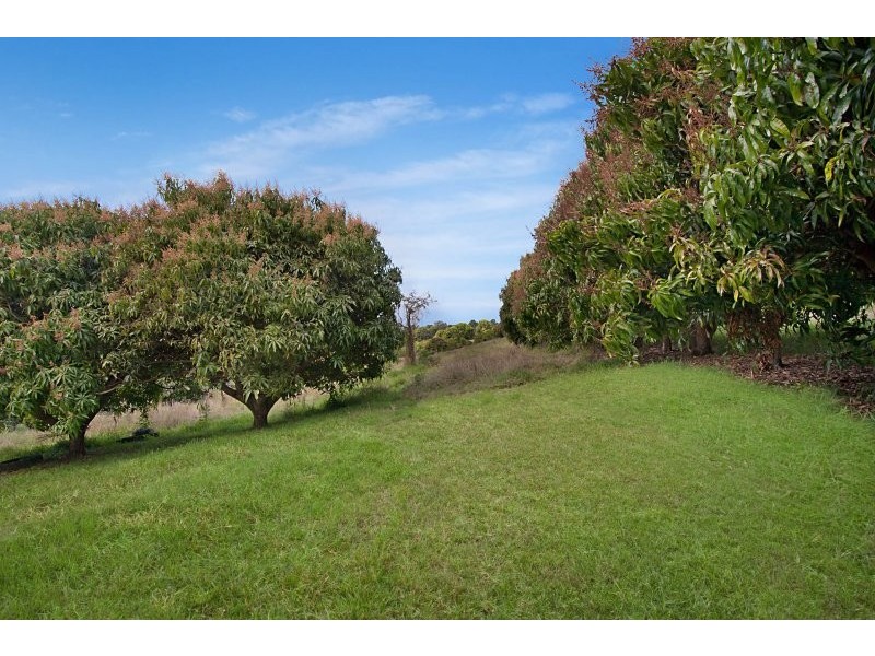 10 Biral Close, Bilambil NSW 2486