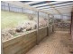 38 Tralee Drive, Banora Point NSW 2486