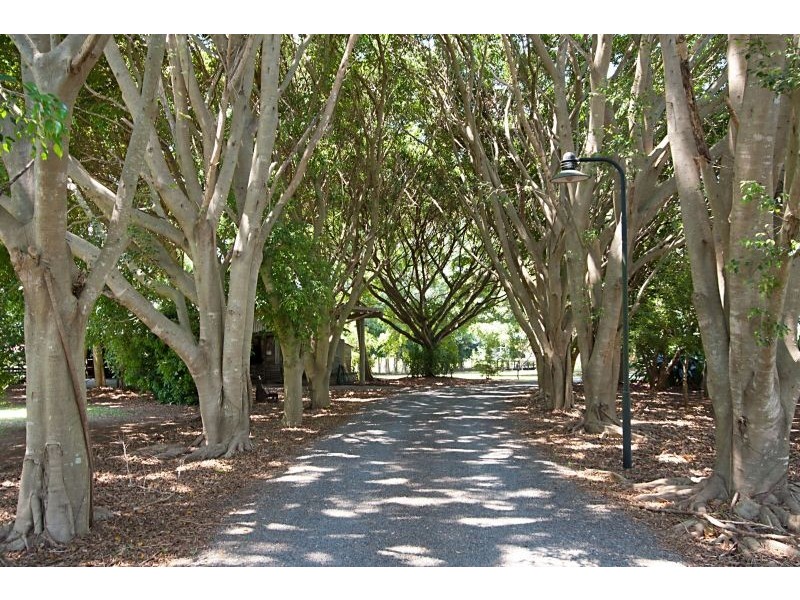 11 Campbells Road, TWEED VALLEY, Murwillumbah NSW 2484