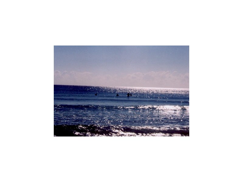 3/3 Winston Street, Kirra QLD 4225