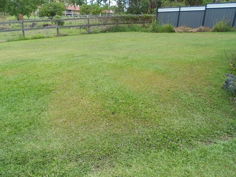 6 Ruth Terrace, Oxenford QLD 4210