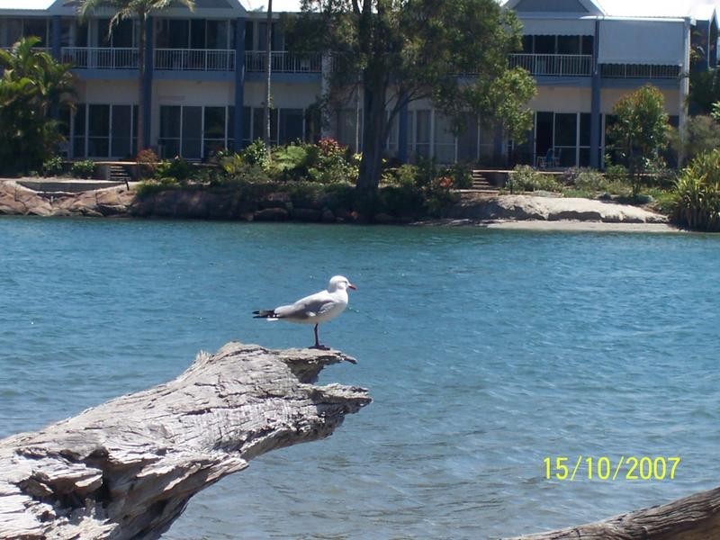 36/56 Guiness Creek Road – Botanical Park, Currumbin QLD 4223