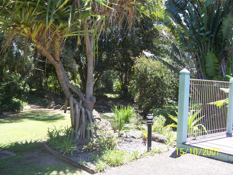 36/56 Guiness Creek Road – Botanical Park, Currumbin QLD 4223