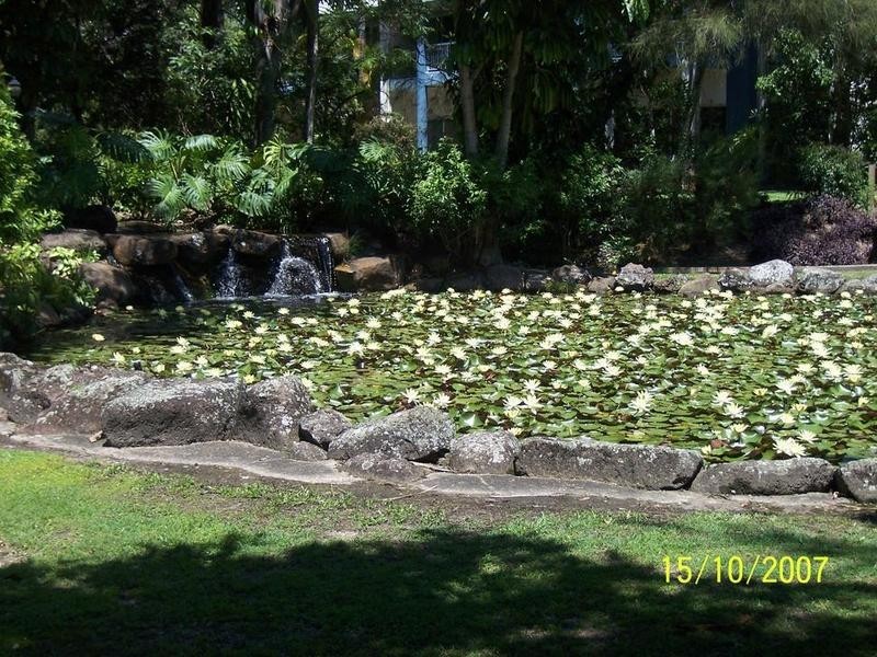 36/56 Guiness Creek Road – Botanical Park, Currumbin QLD 4223