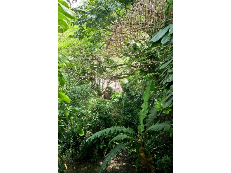 34 Woodgee St, Currumbin QLD 4223