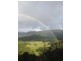124 Tomewin Mountain Road, Currumbin Valley QLD 4223