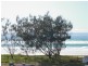 3/796 Pacific Pde, Bilinga QLD 4225