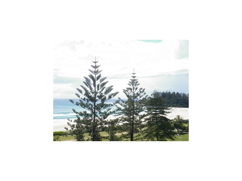 5/38 Marine Parade, Coolangatta QLD 4225