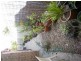 1/12 Natasha Court, Currumbin QLD 4223