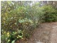 2 Aspen Place, Bilambil Heights NSW 2486