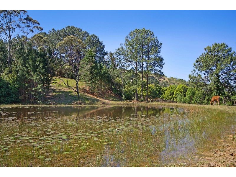 18 Carool Road, Bilambil NSW 2486