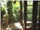 1110 Urliup Road ‘Wychwood Forest’, Murwillumbah NSW 2484