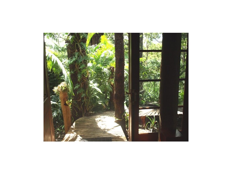 1110 Urliup Road ‘Wychwood Forest’, Murwillumbah NSW 2484