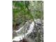 1110 Urliup Road ‘Wychwood Forest’, Murwillumbah NSW 2484