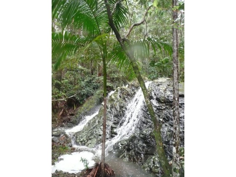 1110 Urliup Road ‘Wychwood Forest’, Murwillumbah NSW 2484